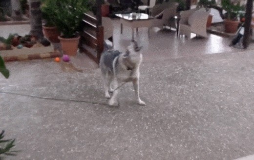 家里电脑没人qq小号突然上线是不是招贼赶紧开视频竟然是！把我惊呆了